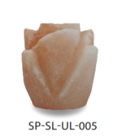 pink salt exporter in pakistan | www.saltpak.com